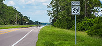 Picture of a Florida Roadway